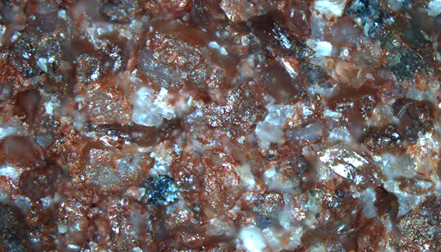 明美MSHOT MJ43金相显微镜