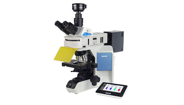 MSHOT荧光原位杂交技术(FISH)的应用