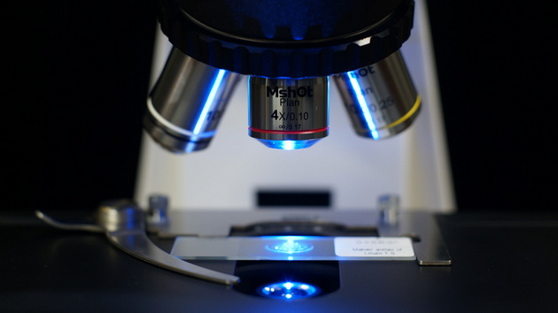 明美MSHOT MF31正置荧光显微镜