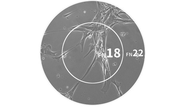 明美MSHOT MI52-CF细胞工厂显微镜