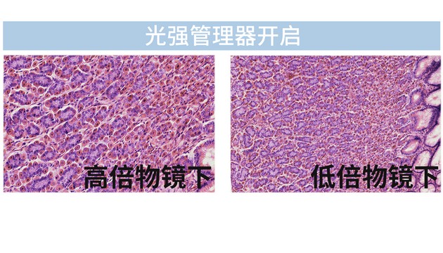 Mshort ML51-N生物显微镜