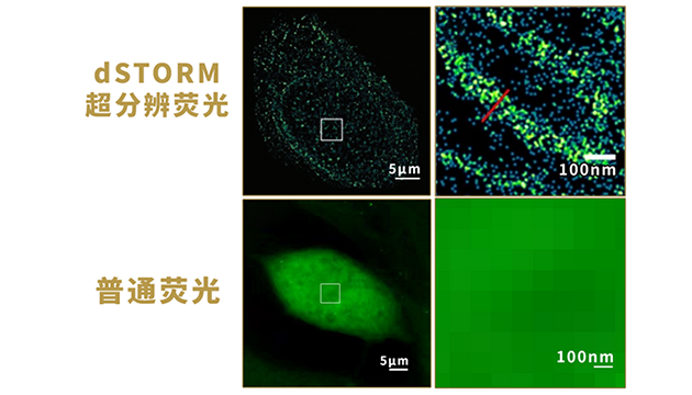 明美MSHOT HM-STORM超分辨荧光显微镜