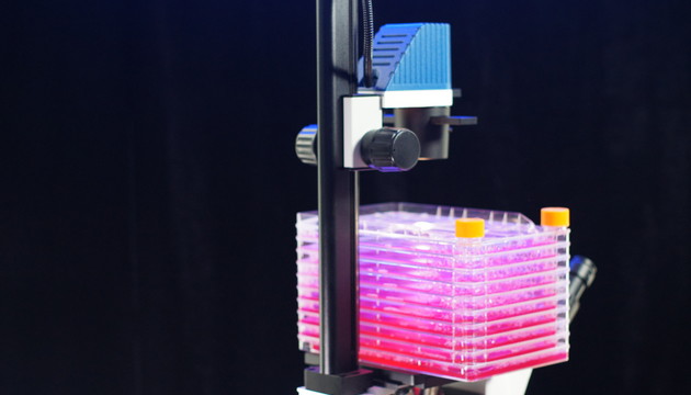 明美MSHOT MI52-CF细胞工厂显微镜