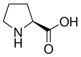 脯氨酸
