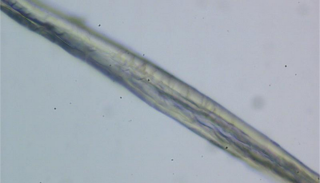 明美MSHOT MP20偏光显微镜