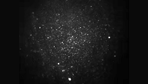 明美MSHOT MF53-TIRF全内反射荧光显微镜