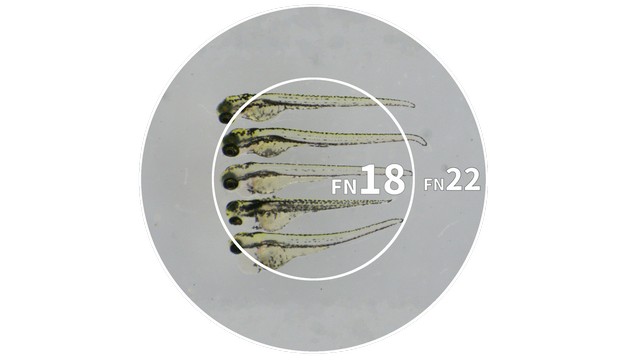 明美MSHOT MZ62体视显微镜