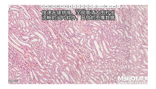 明美MSHOT MDS4数字切片扫描系统
