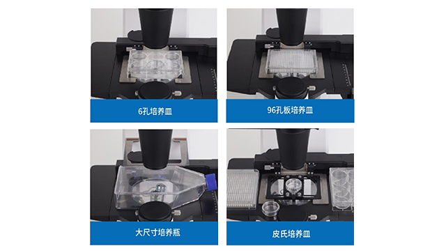 明美MSHOT MIX60倒置显微镜